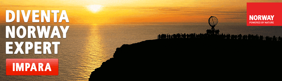 001_Norvegia_Banner_902x260_v5