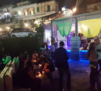 RevExp_campania_sr_11