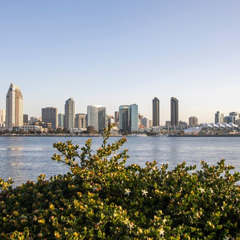 san_diego_go_card1_w800_h1213
